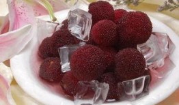 挖冰杨梅爆料视频大全最新,揭秘冰杨梅背后的秘密